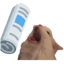 bonkcat