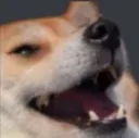 Dogekek dogekek Discord Emoji
