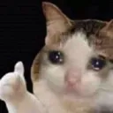 fSadcat Discord Emoji