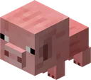 Dio