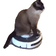 roombarider
