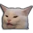 confusedcat
