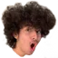 cinchamp