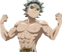 bc_asta_flexsta