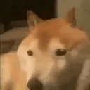 bonk