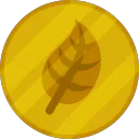 coin_heads