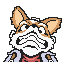 foxwhat