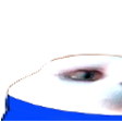funnycat1 Discord emoji