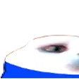 funnycat1
