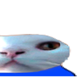 funnycat2 Discord emoji