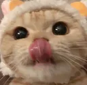 CAT_mlem