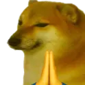 doge_dorime