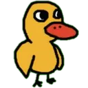 duck