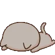 nyaaDed