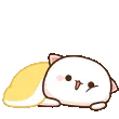 nyaMorning