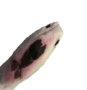 Whatler