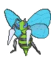 BeedrillShiny