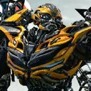 bumblebee