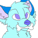 :Huski: Discord Emote