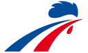 teamFrance Discord emoji