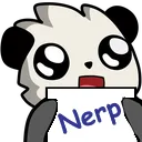 pandanerp