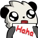 pandahaha