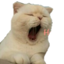 AK_Ngantuk Discord emoji
