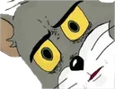 tom_wtf