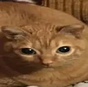 gwagwa