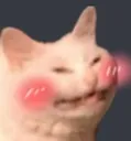 blushcat