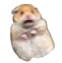 scared_hamtaro scared_hamtaro