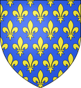 coa_France_Capetian_897_1848 Discord emoji