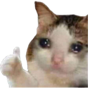 FT_EpicThumbsup Discord emoji