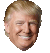 TTrump TTrump