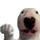 walter
