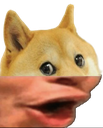 :Dogers: Discord Emote