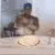 RicardoPizza