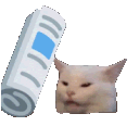 KittyWack Discord Emoji