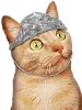 tinfoilhat