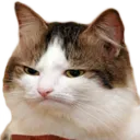 HmmcatGLARE