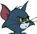 tomwot