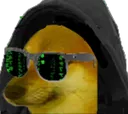 hamcker