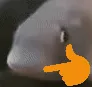 ThinkFish ThinkFish