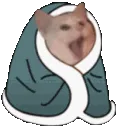 SCaablankysleep