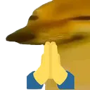 dorime