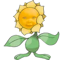 babysunflora