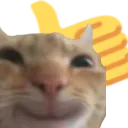 cat_approval cat_approval
