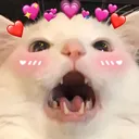 Lovecat lovecat Discord Emoji
