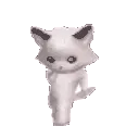 bowwow