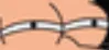 suspicion_arises
